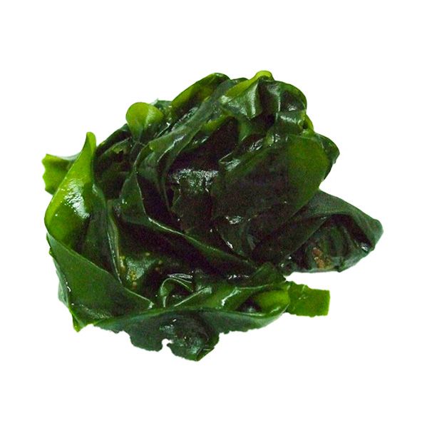 Extracto de Algas Marinas - Ascophyllum nodosum