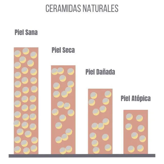 Ceramidas