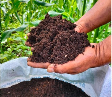 Culbac Plant - Fertilizante Bioestimulante