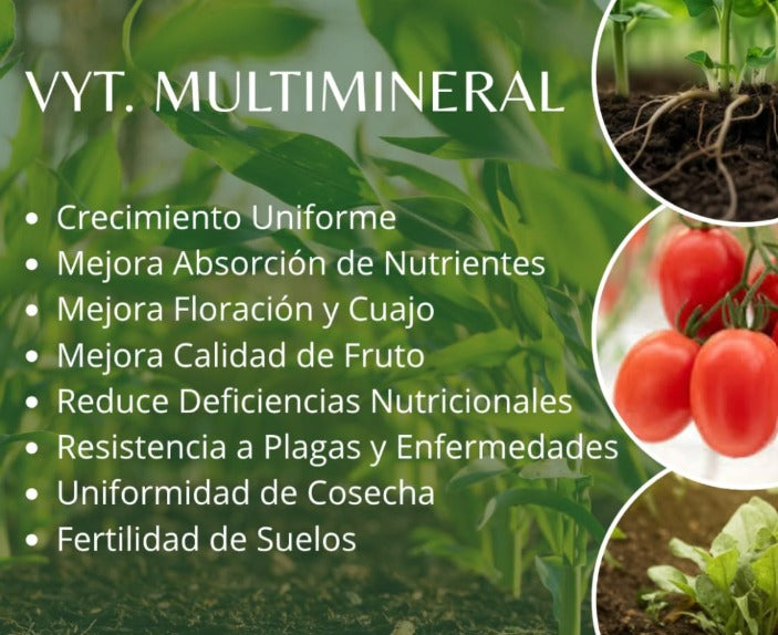 VYT. Multimineral