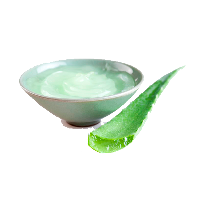 Aloe Vera - Extracto en Tonico