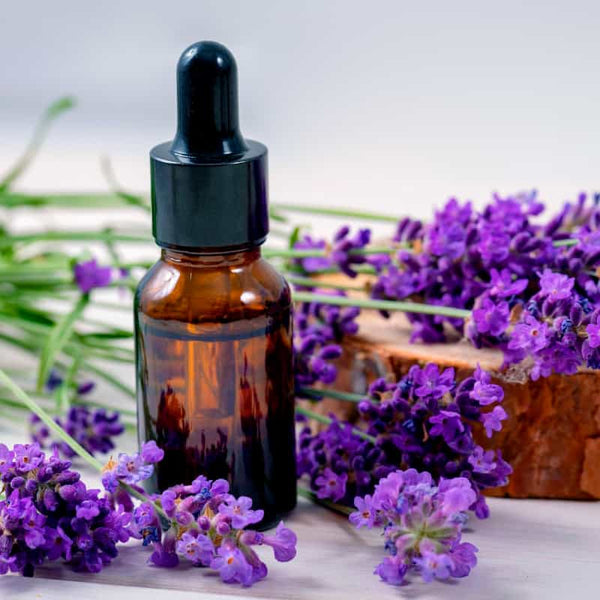 Lavanda - Aceite Esencial COSME