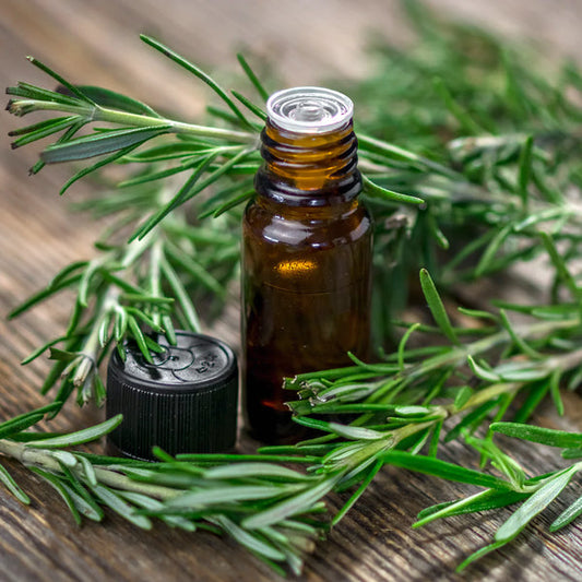 Romero - Aceite Esencial COSME