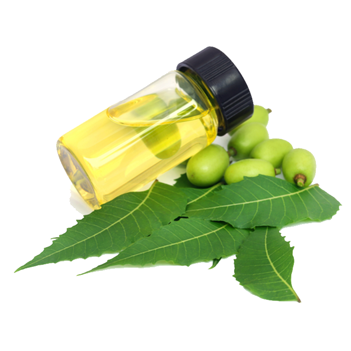 Neem - Aceite Prensado en Frio