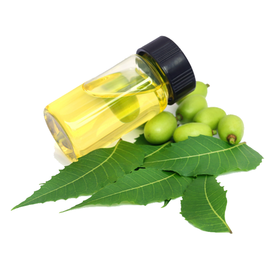 Neem - Aceite Grado Pharma Europeo