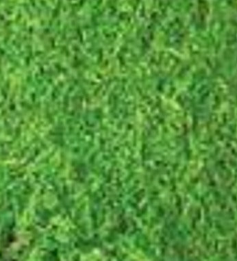 Verde Perico - Colorante Anilina Polvo ENG