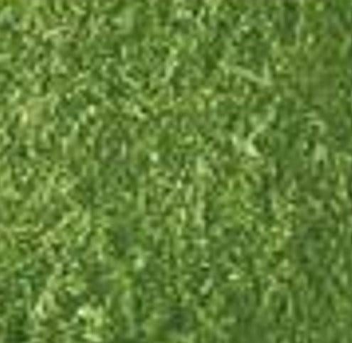 Verde Musgo - Colorante Anilina Polvo Supra