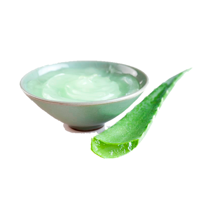 Aloe Vera - En Polvo