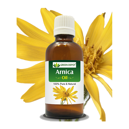Arnica - Extracto