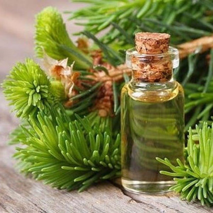 Cedro - Aceite Esencial