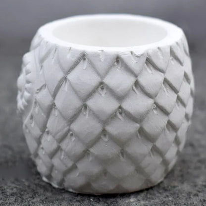 Molde Maceta Buho 1