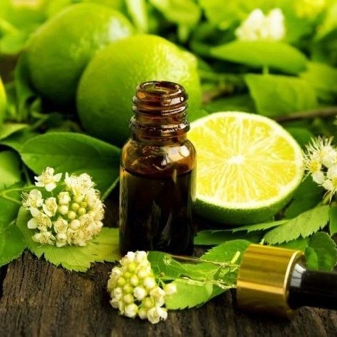 Bergamota - Aceite Esencial