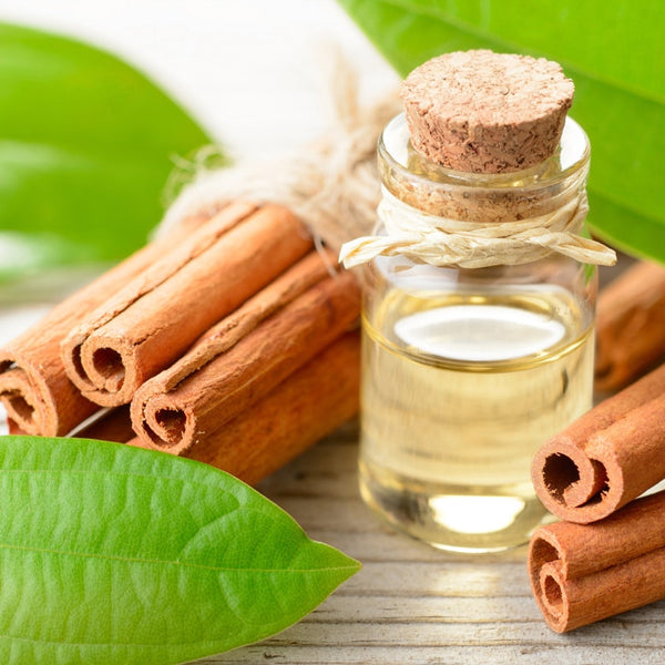 Canela Hoja - Aceite Esencial  COSME
