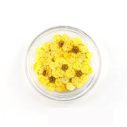 Florecitas Deco - Amarilla Oscura
