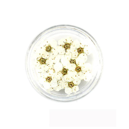 Florecitas Deco - Blanca
