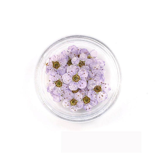 Florecitas Deco - Lila