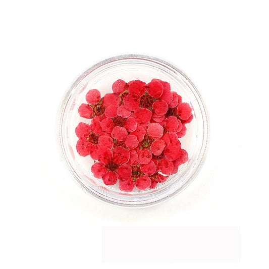 Florecitas Deco - Roja