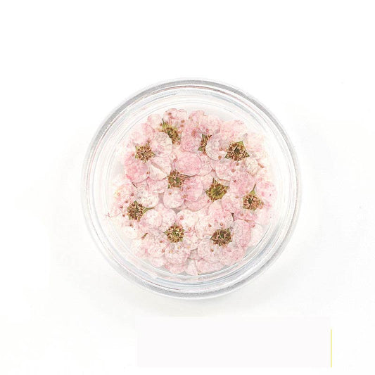 Florecitas Deco - Rosa Claro