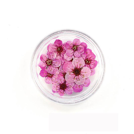 Florecitas Deco - Rosa Oscura