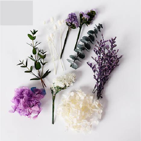 Tallos Deco - Morado