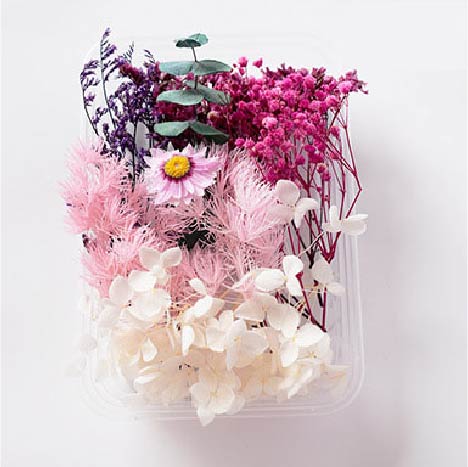 Tallos Deco - Pink