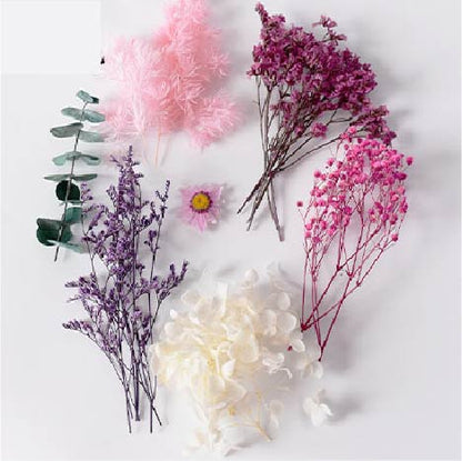 Tallos Deco - Pink