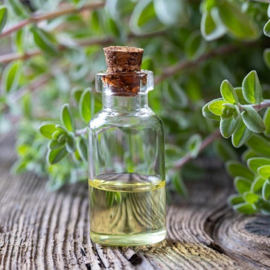 Mejorana - Aceite Esencial