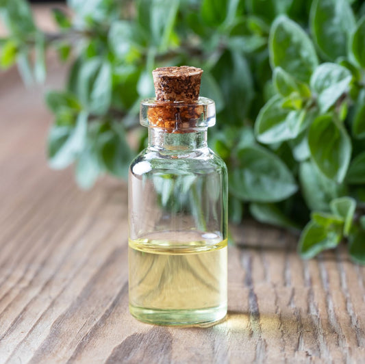 Oregano Comestible - Aceite Esencial  FG