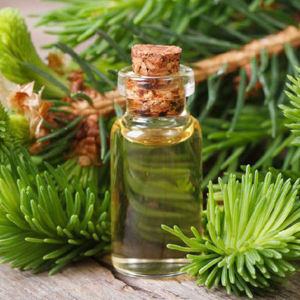 Aguja de Pino - Aceite Esencial