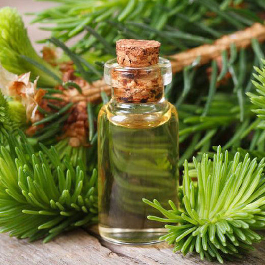 Aguja de Pino - Aceite Esencial