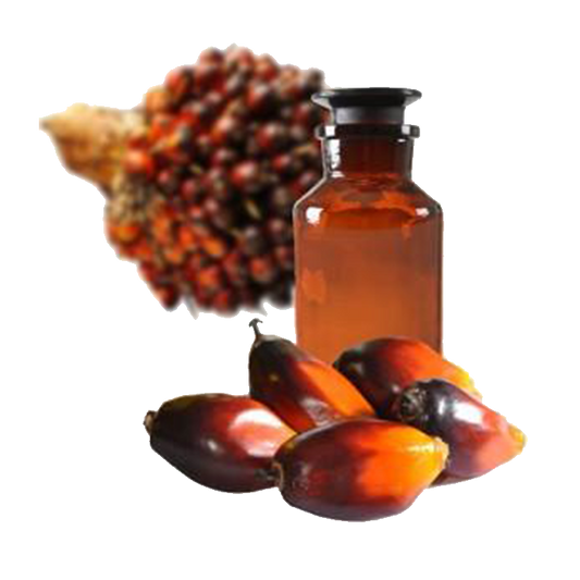 Palma - Aceite