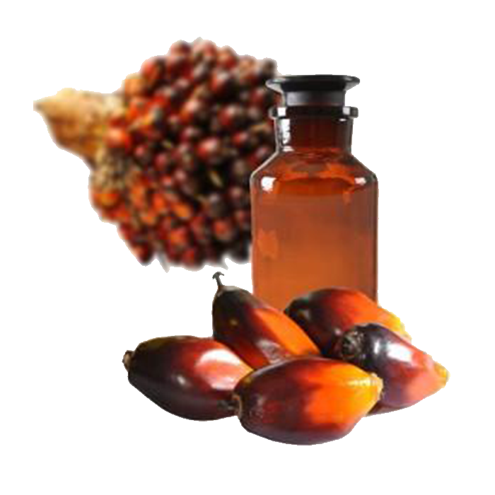 Vegetal - Aceite