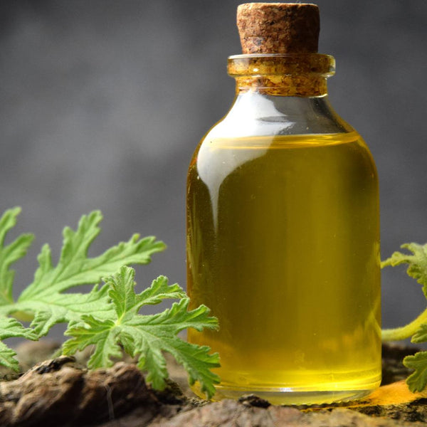 Citronela - Aceite Esencial