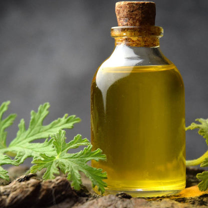 Citronela - Aceite Esencial